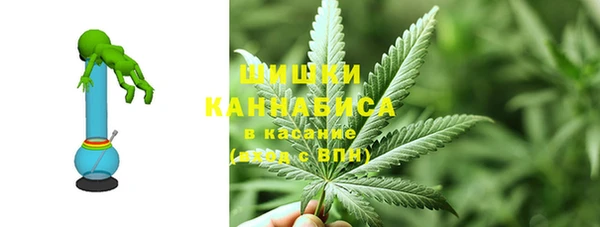 мяу мяу мука Белокуриха