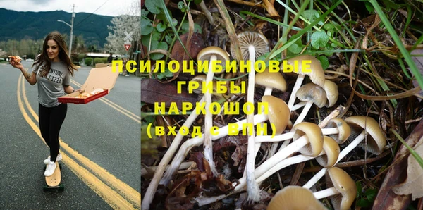 мяу мяу мука Белокуриха