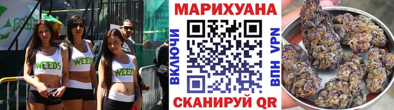 Конопля план  МЕГА зеркало  Пионерский 